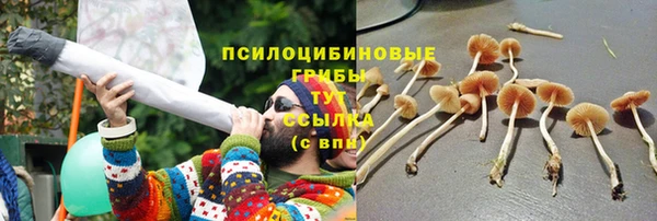 СК Дмитриев